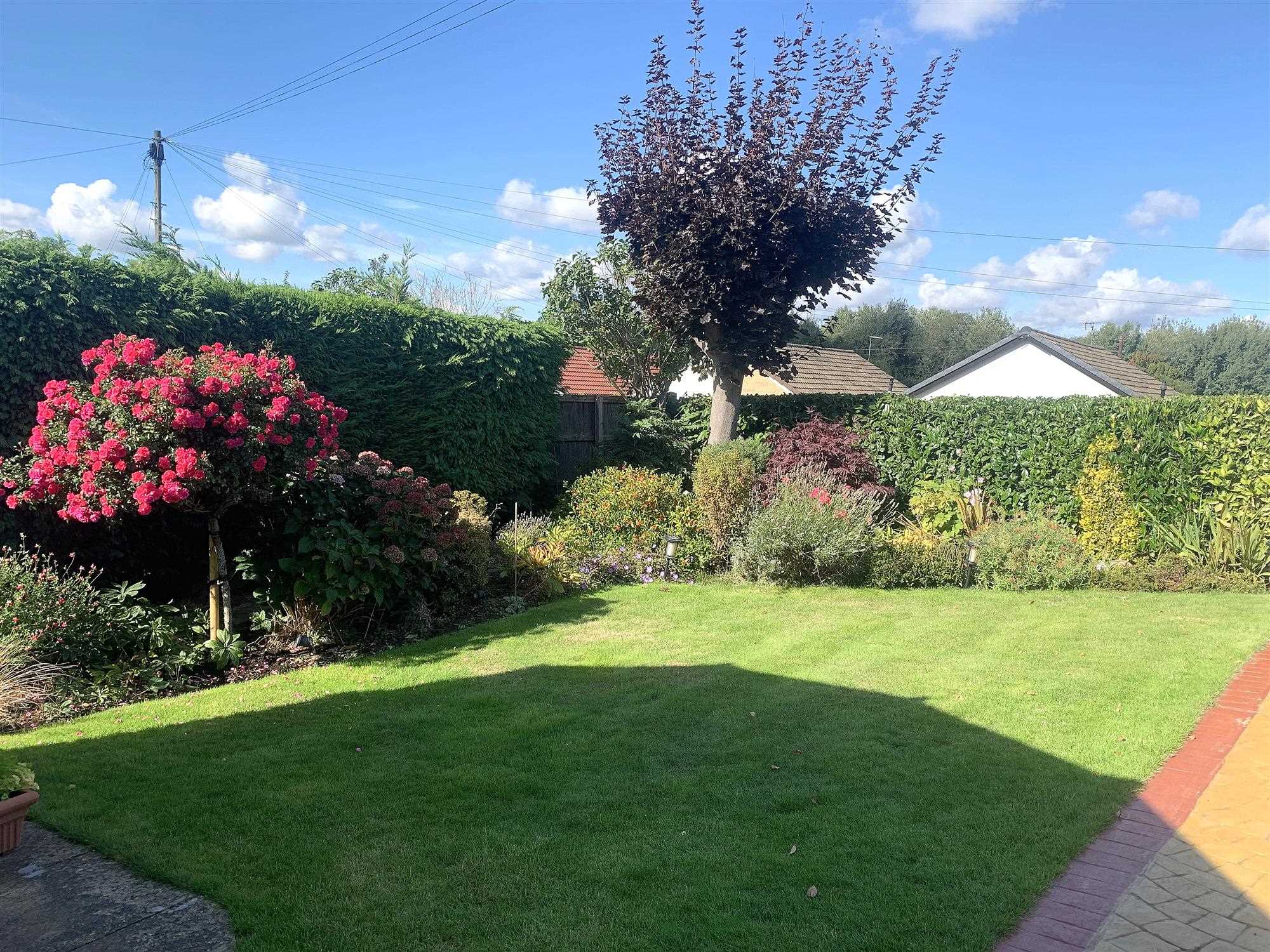 Nethergreen Avenue - Picture 21