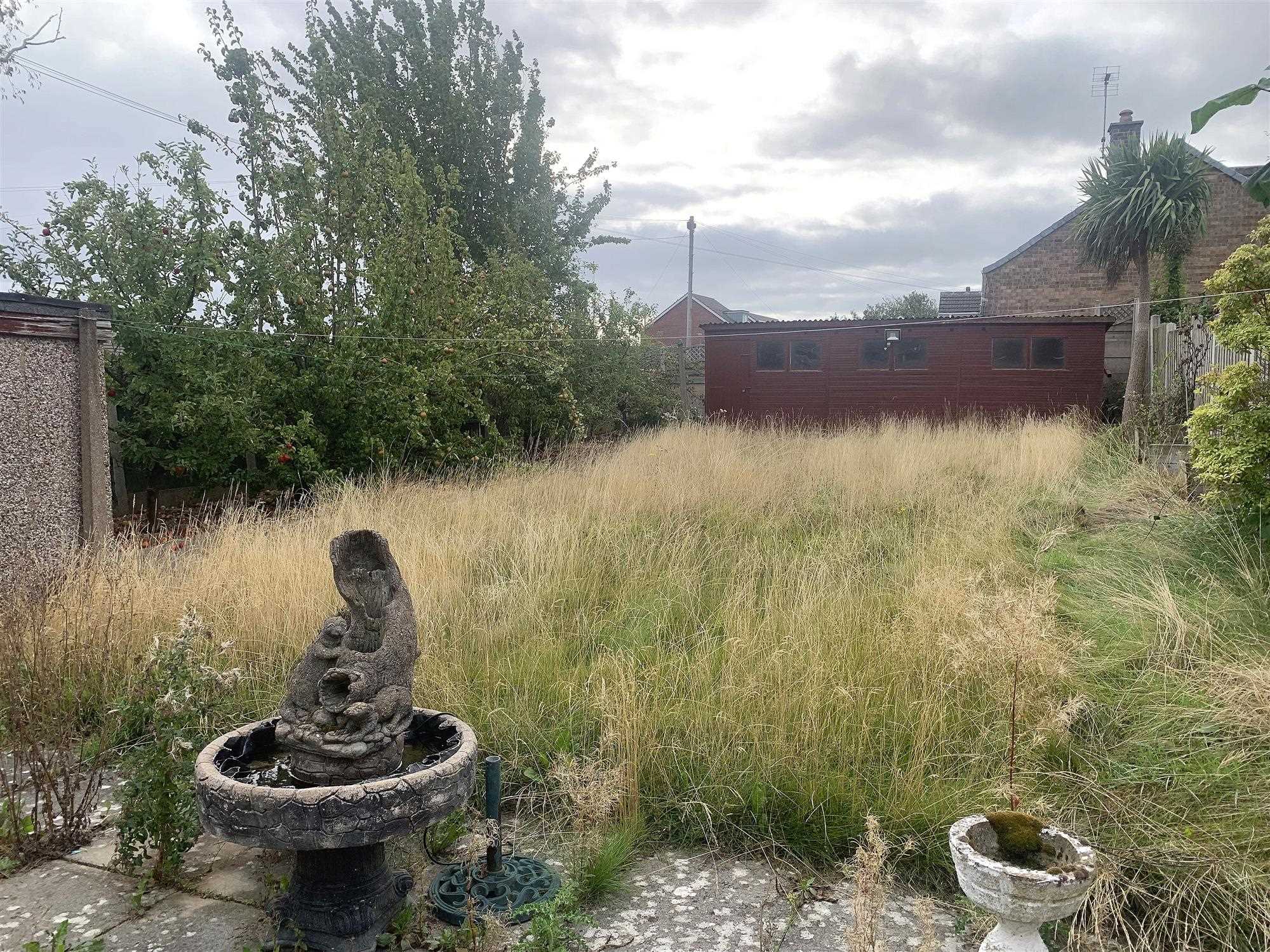 Norton Avenue - Picture 14
