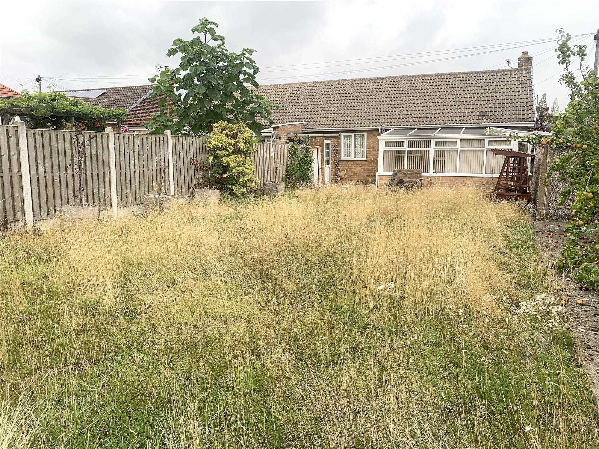 Norton Avenue - Picture 15