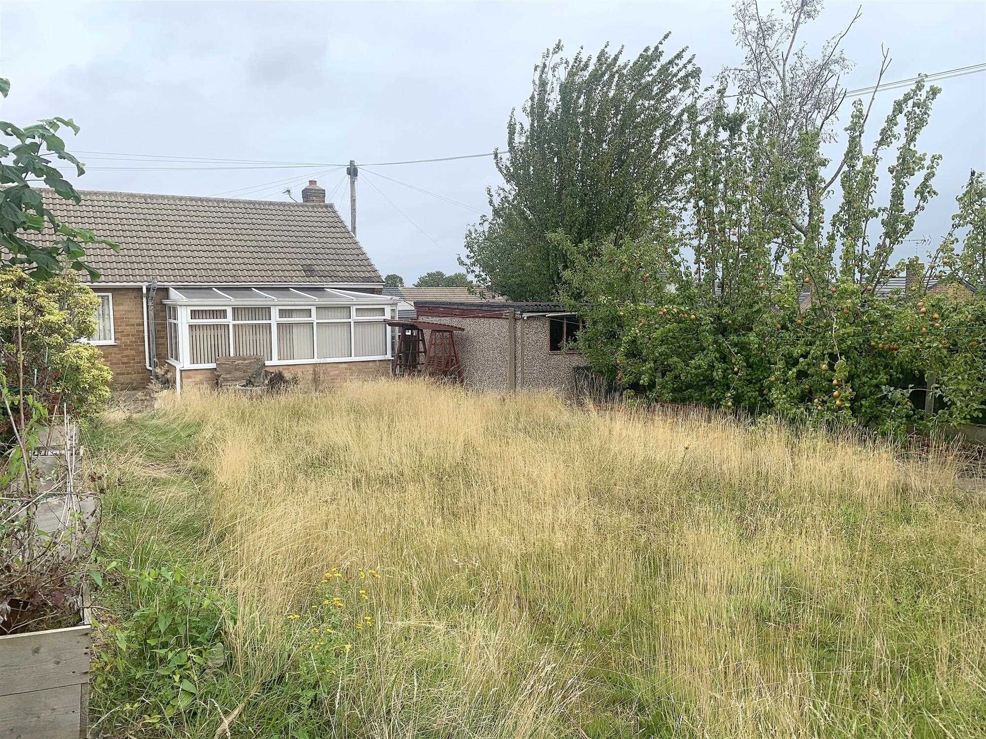 Norton Avenue - Picture 16