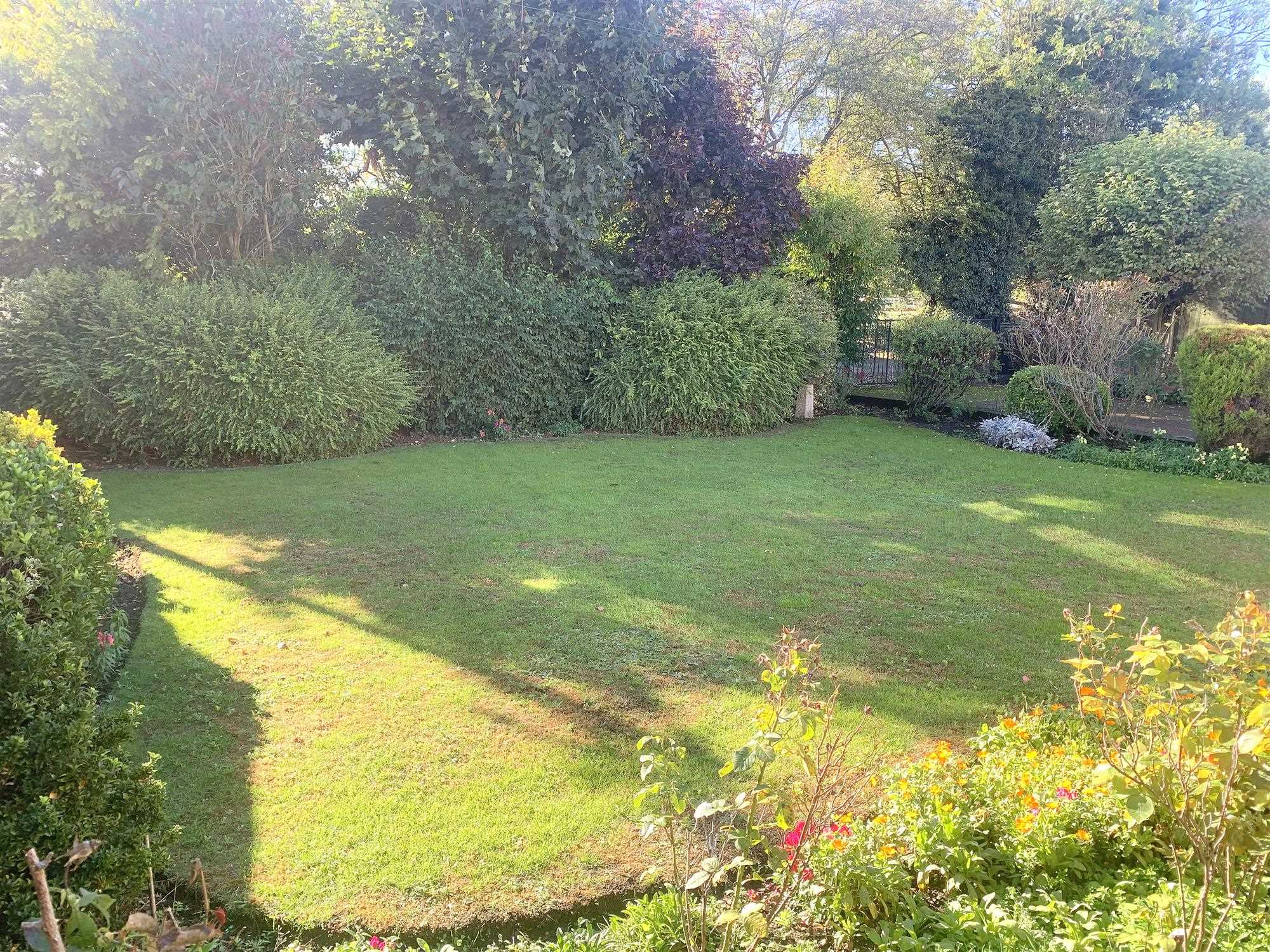 Sunny View - Picture 17