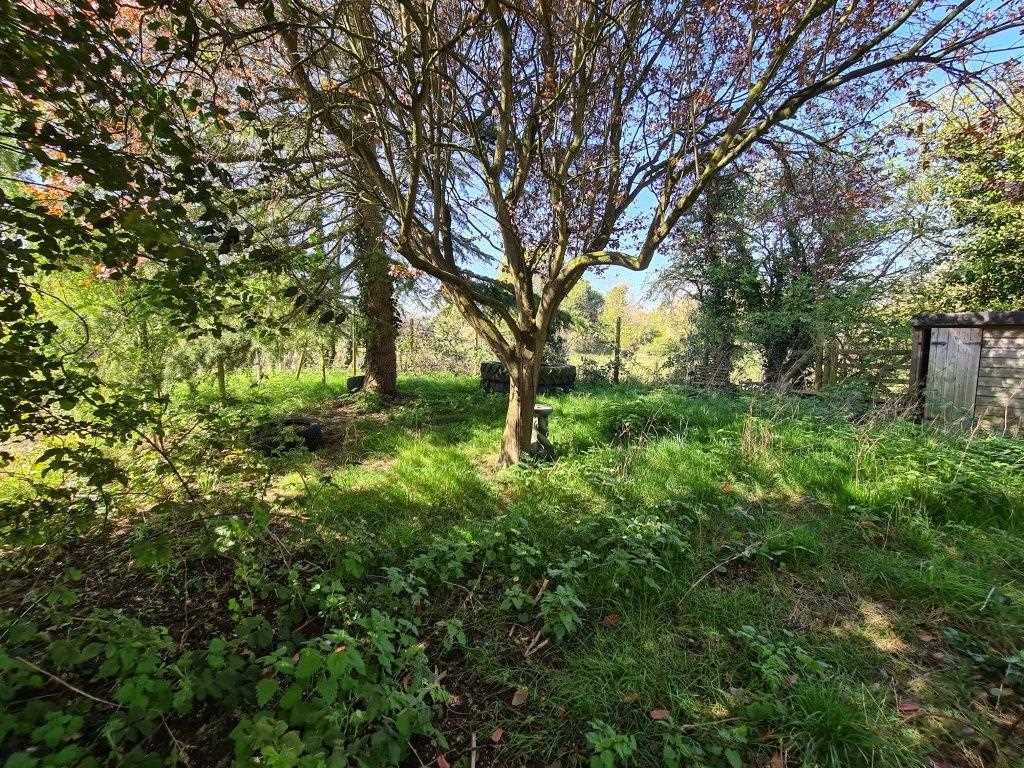 Hollin Hill Road - Picture 12