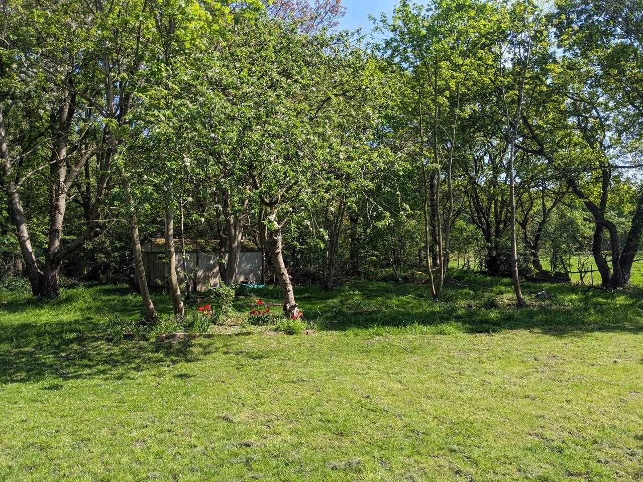 Seven Trees Cottage - Picture 15